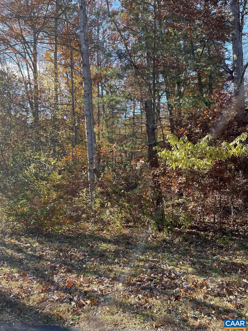 20 Chippewa Ln, Palmyra, VA 22963 - photo 1