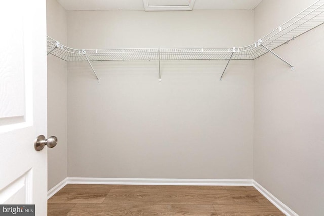 5907 Cambridge Dr, Fredericksburg, VA 22407 - walk in closet with light wood-type flooring