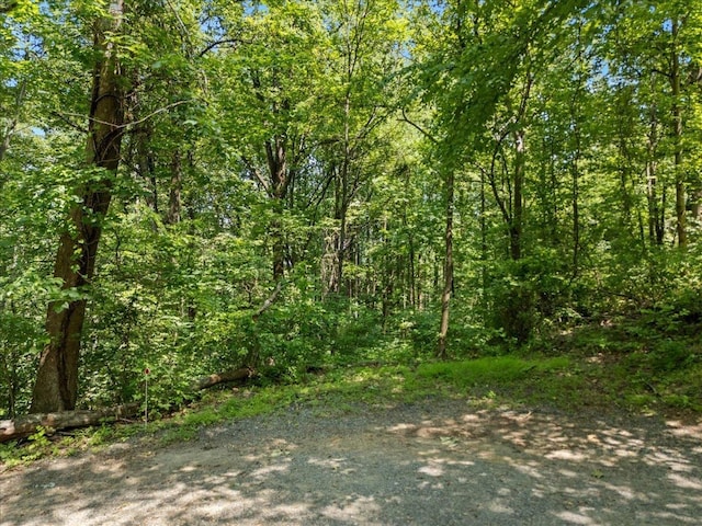 TBD Marcs Place, Stanardsville, VA 22973