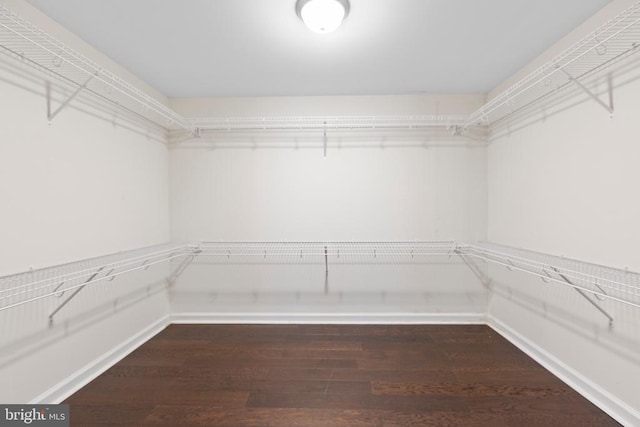 5910 Carnifex Ferry Rd W, Fredericksburg, VA 22407 - spacious closet with wood finished floors