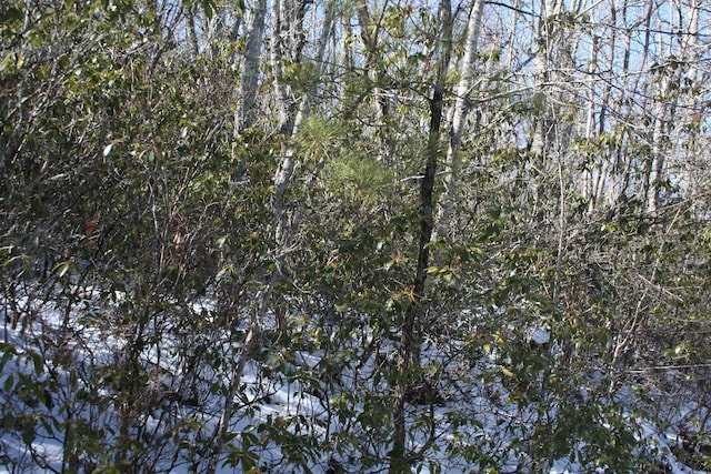 TBD Summit Dr, Monterey, VA 24465