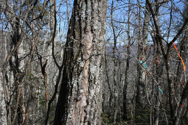 TBD Summit Dr, Monterey, VA 24465