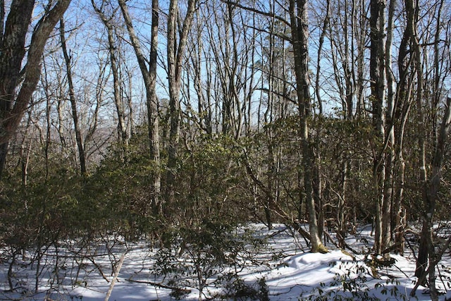 TBD Summit Dr, Monterey, VA 24465
