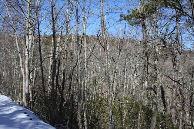 TBD Summit Dr, Monterey, VA 24465