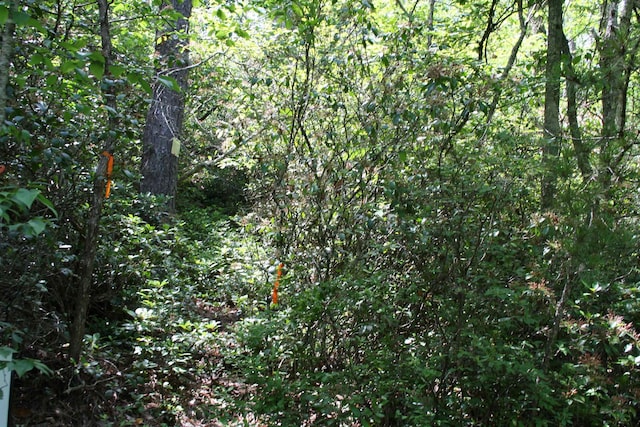 TBD Summit Dr, Monterey, VA 24465