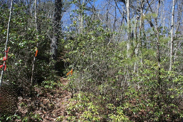 TBD Summit Dr, Monterey, VA 24465