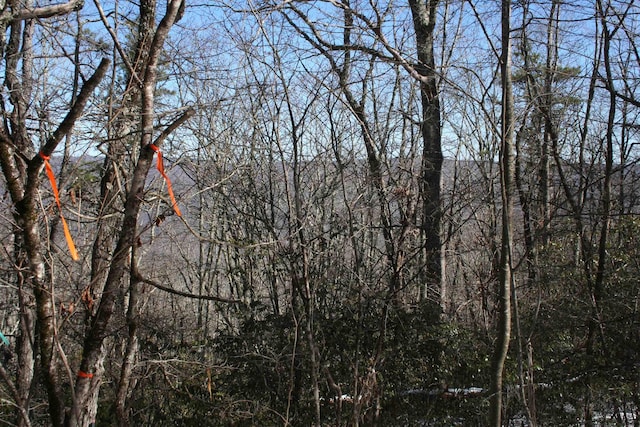TBD Summit Dr, Monterey, VA 24465