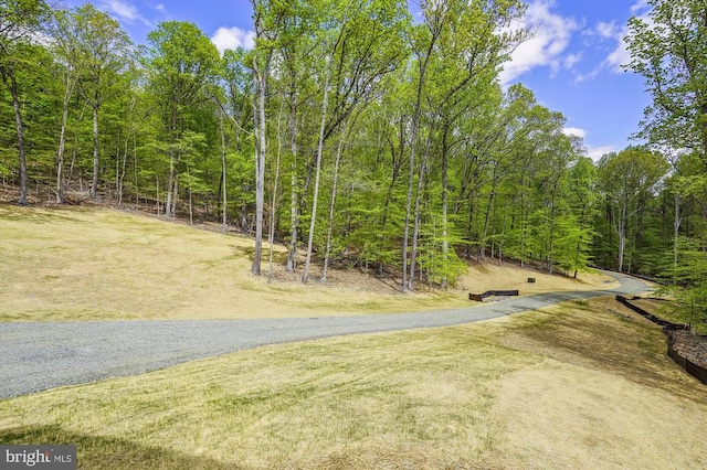  - view of road with a forest view