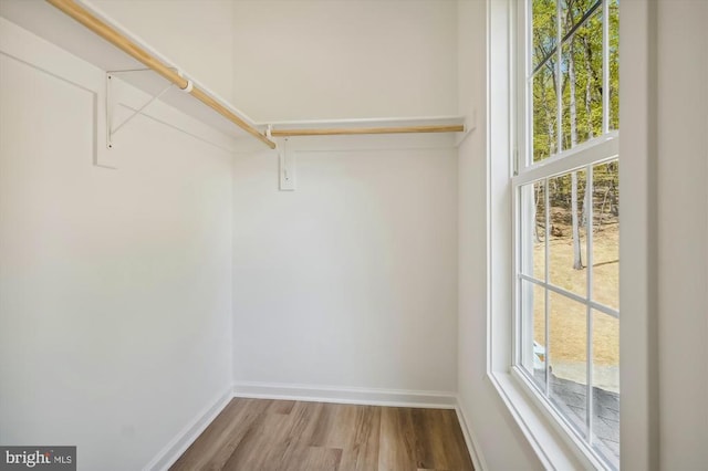  - walk in closet with wood finished floors