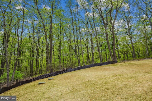  - view of yard with a wooded view