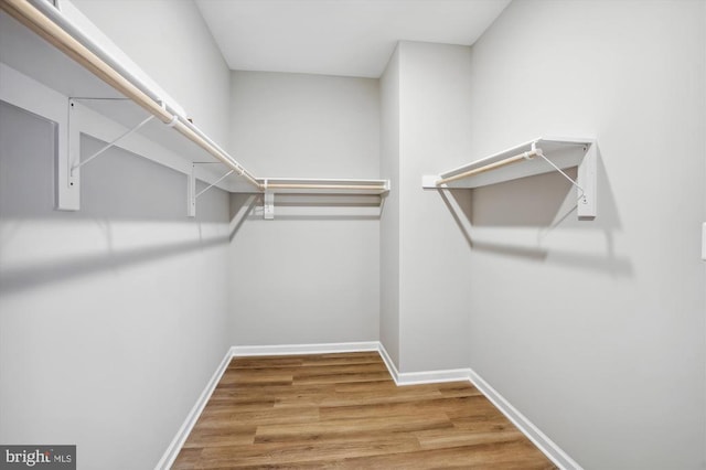  - walk in closet with wood finished floors