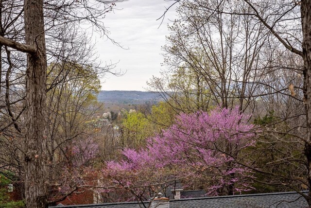 view of wooded area