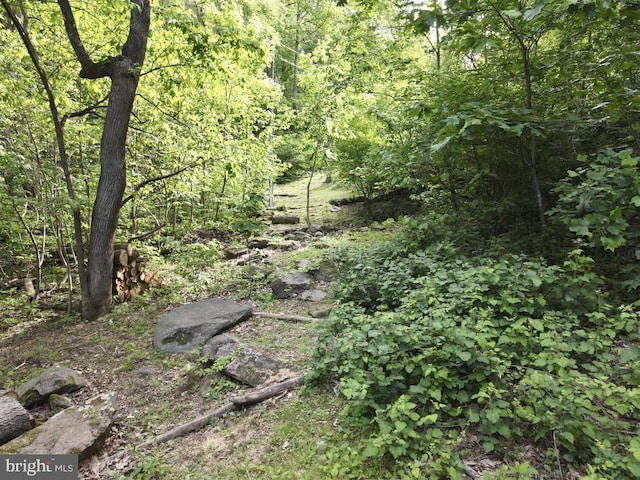  - photo 33
