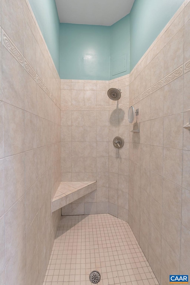 408 Kent Ln, Kents Store, VA 23084 - full bathroom with tiled shower