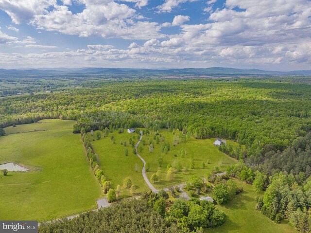 6308 Jefferson Mill Rd, Scottsville, VA 24590 - photo 20