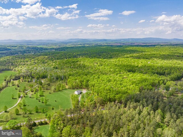 6308 Jefferson Mill Rd, Scottsville, VA 24590 - photo 16