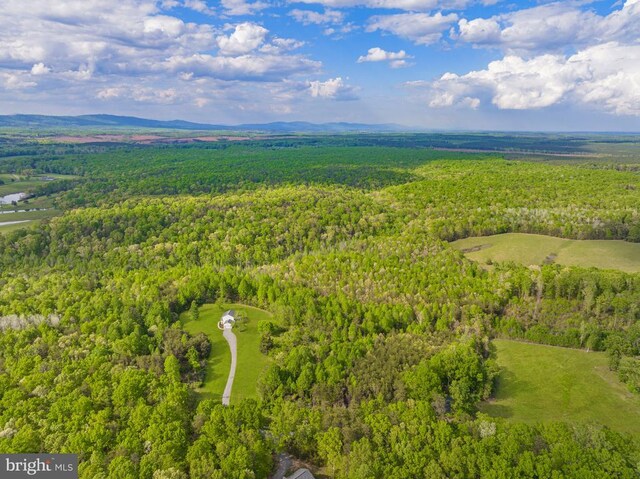 6308 Jefferson Mill Rd, Scottsville, VA 24590 - photo 8