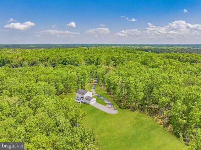 6308 Jefferson Mill Rd, Scottsville, VA 24590 - photo 11