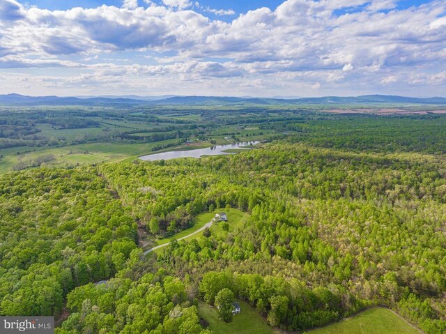 6308 Jefferson Mill Rd, Scottsville, VA 24590 - photo 3