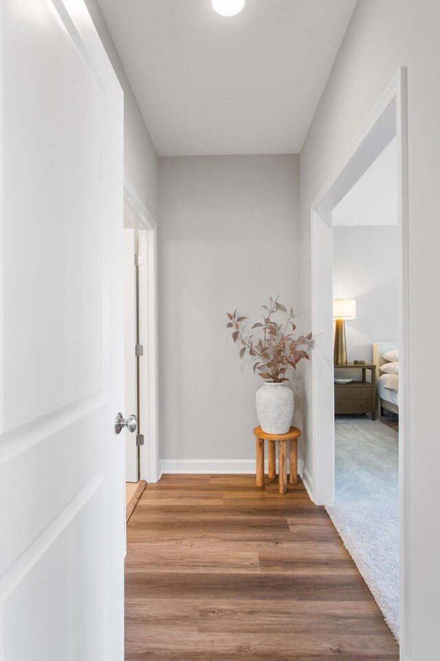 2910 Rutlege Rd Unit 175, Rockingham, VA 22801 - corridor with wood finished floors and baseboards