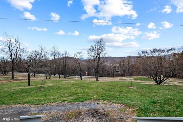 view of grassy yard