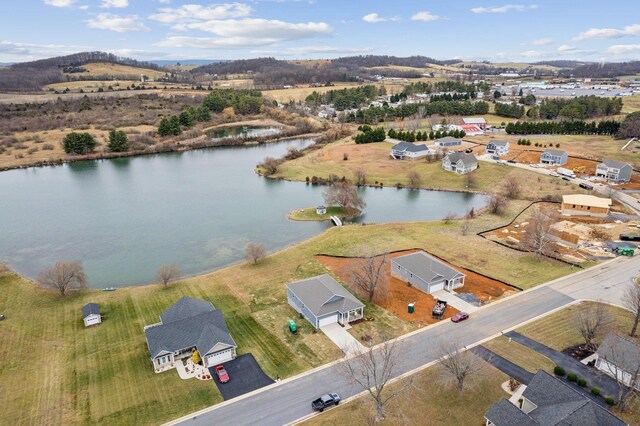212 Waterfront Dr, Raphine, VA 24472 - photo 26