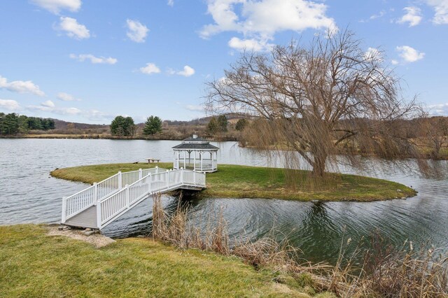 212 Waterfront Dr, Raphine, VA 24472 - photo 23