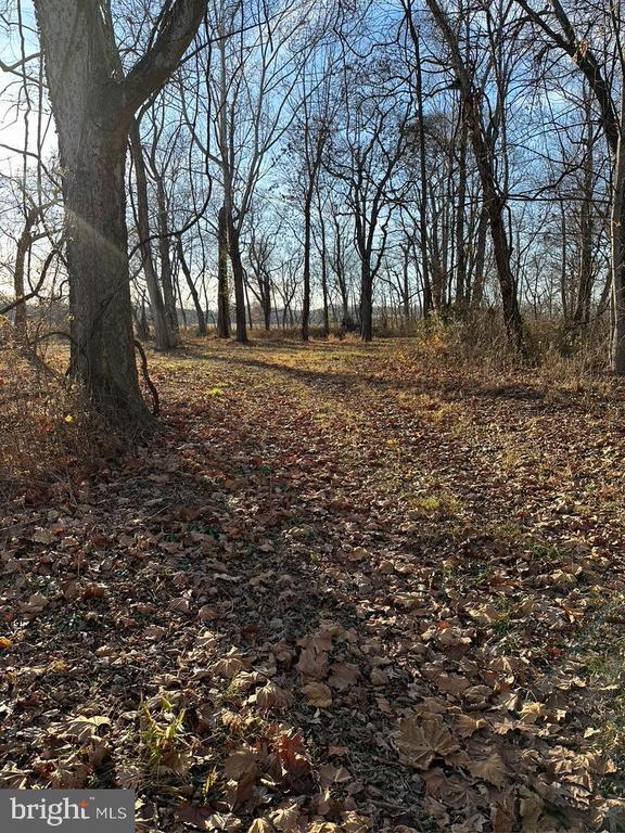 8184 Fox Groves Rd, Remington, VA 22734