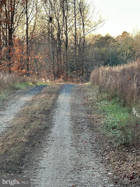 8184 Fox Groves Rd, Remington, VA 22734