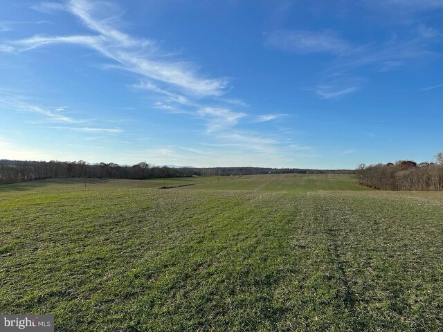 8184 Fox Groves Rd, Remington, VA 22734
