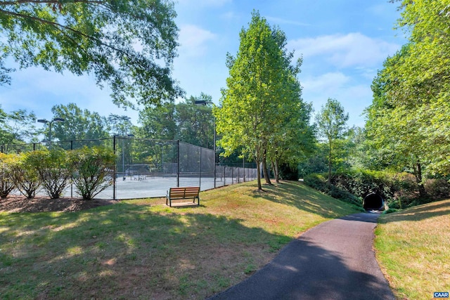 3165 Turnberry Cir, Charlottesville, VA 22911 - photo 49