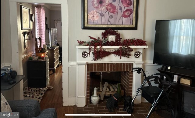 living room featuring dark hardwood / wood-style floors and a fireplace