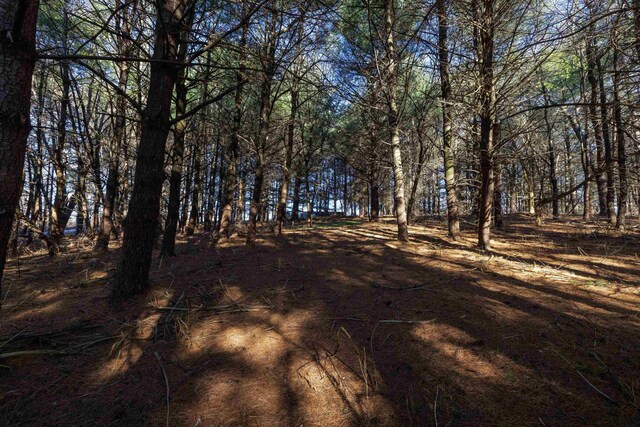 TBD Fairview Rd, Mount Crawford, VA 22841