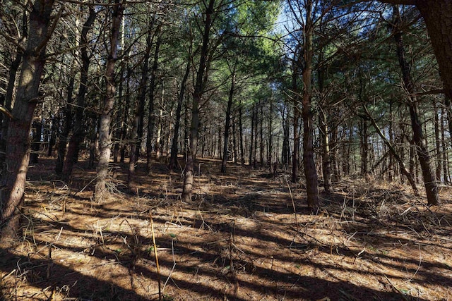TBD Fairview Rd, Mount Crawford, VA 22841