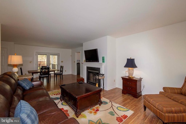 11523 Red Rock Ln, Bumpass, VA 23024 - living area featuring light wood-type flooring and a fireplace