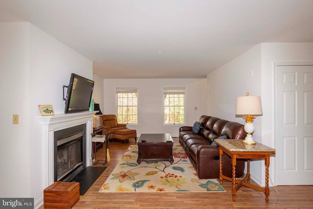 11523 Red Rock Ln, Bumpass, VA 23024 - living room featuring wood finished floors and a fireplace with flush hearth