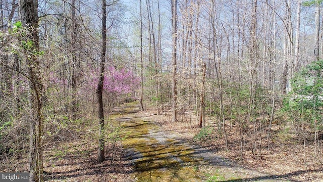 11523 Red Rock Ln, Bumpass, VA 23024 - view of wooded area
