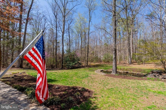 11523 Red Rock Ln, Bumpass, VA 23024 - view of grassy yard