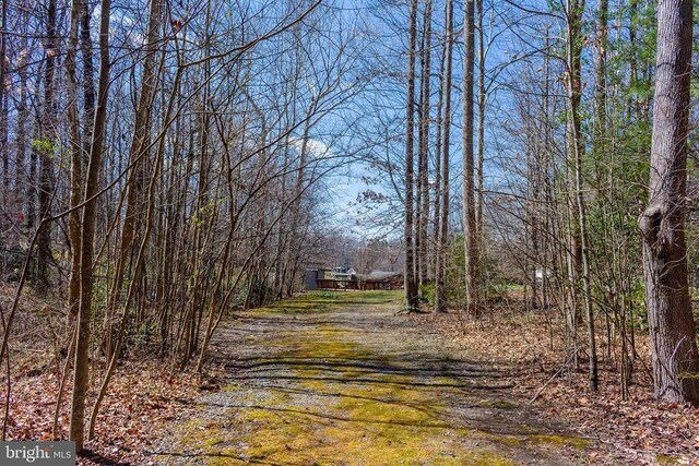 11523 Red Rock Ln, Bumpass, VA 23024 - view of dirt / gravel road