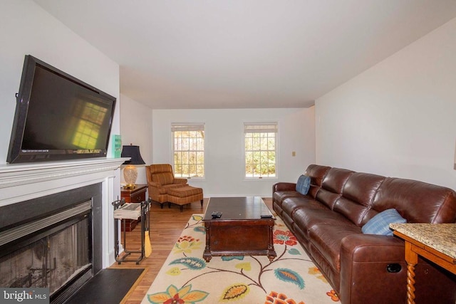 11523 Red Rock Ln, Bumpass, VA 23024 - living room featuring light wood-type flooring and a fireplace with flush hearth