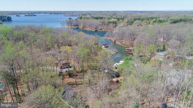 11523 Red Rock Ln, Bumpass, VA 23024 - view of property location featuring a large body of water and a forest