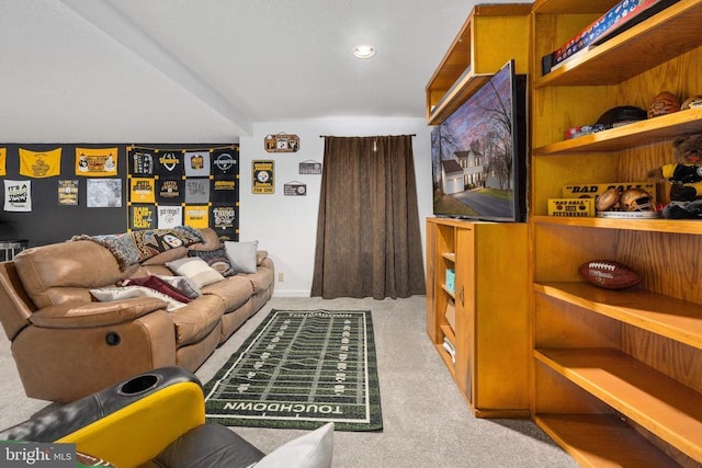 13104 Willow Point Dr, Fredericksburg, VA 22408 - living area with carpet floors and recessed lighting