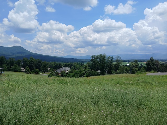 1165 Frederick Rd, Rockingham, VA 22801 - photo 2
