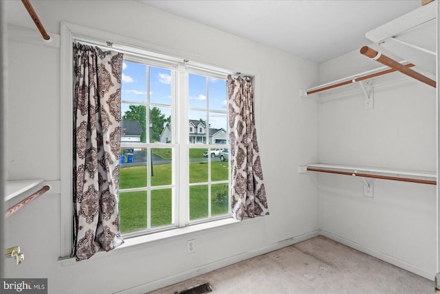 12017 Stonehenge Dr, Fredericksburg, VA 22407 - view of walk in closet