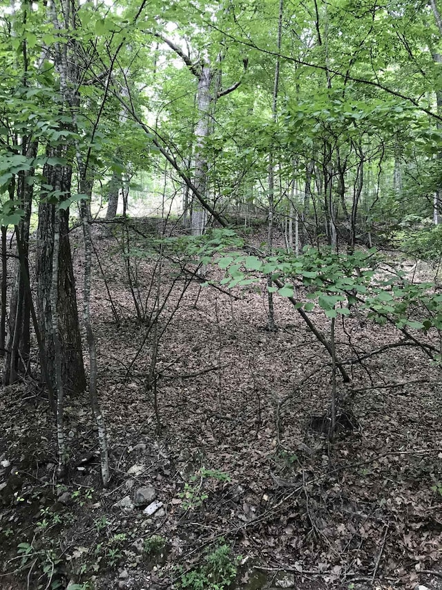 43 High Valley S, Monterey, VA 24465
