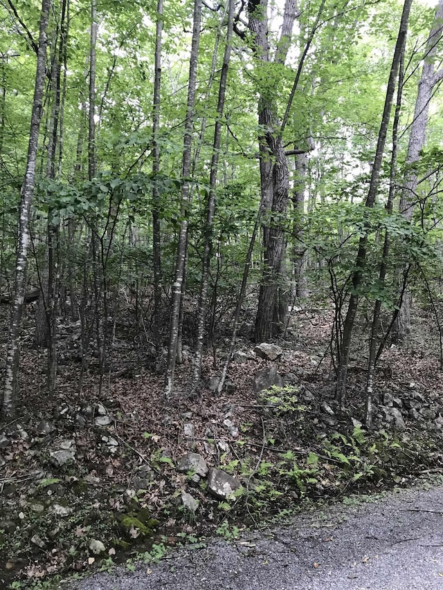 43 High Valley S, Monterey, VA 24465