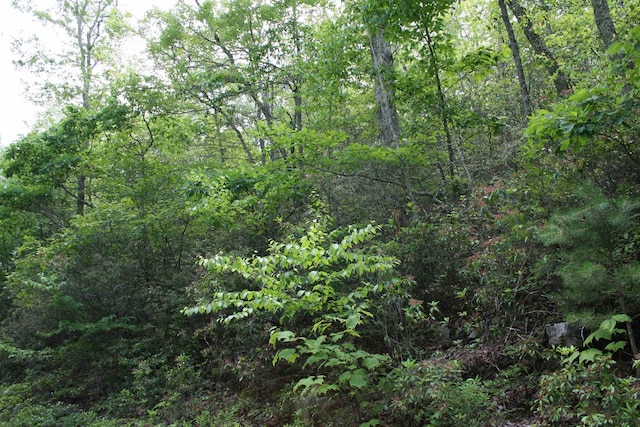 43 High Valley S, Monterey, VA 24465