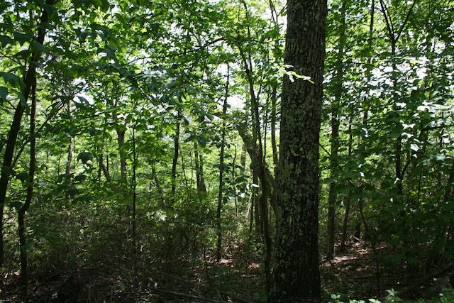 43 High Valley S, Monterey, VA 24465
