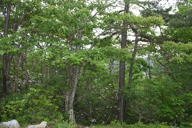 43 High Valley S, Monterey, VA 24465