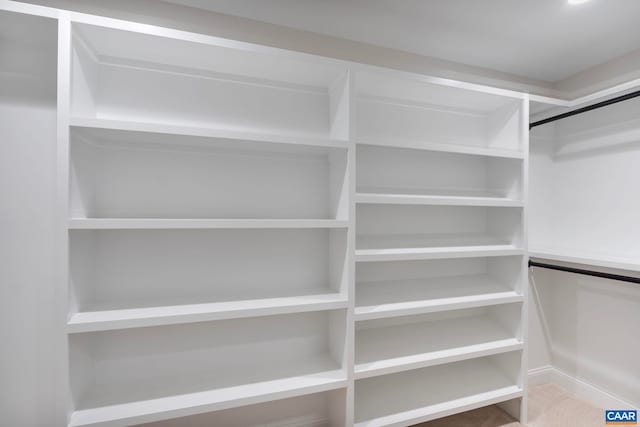 3 Lonicera Way, Charlottesville, VA 22911 - view of spacious closet
